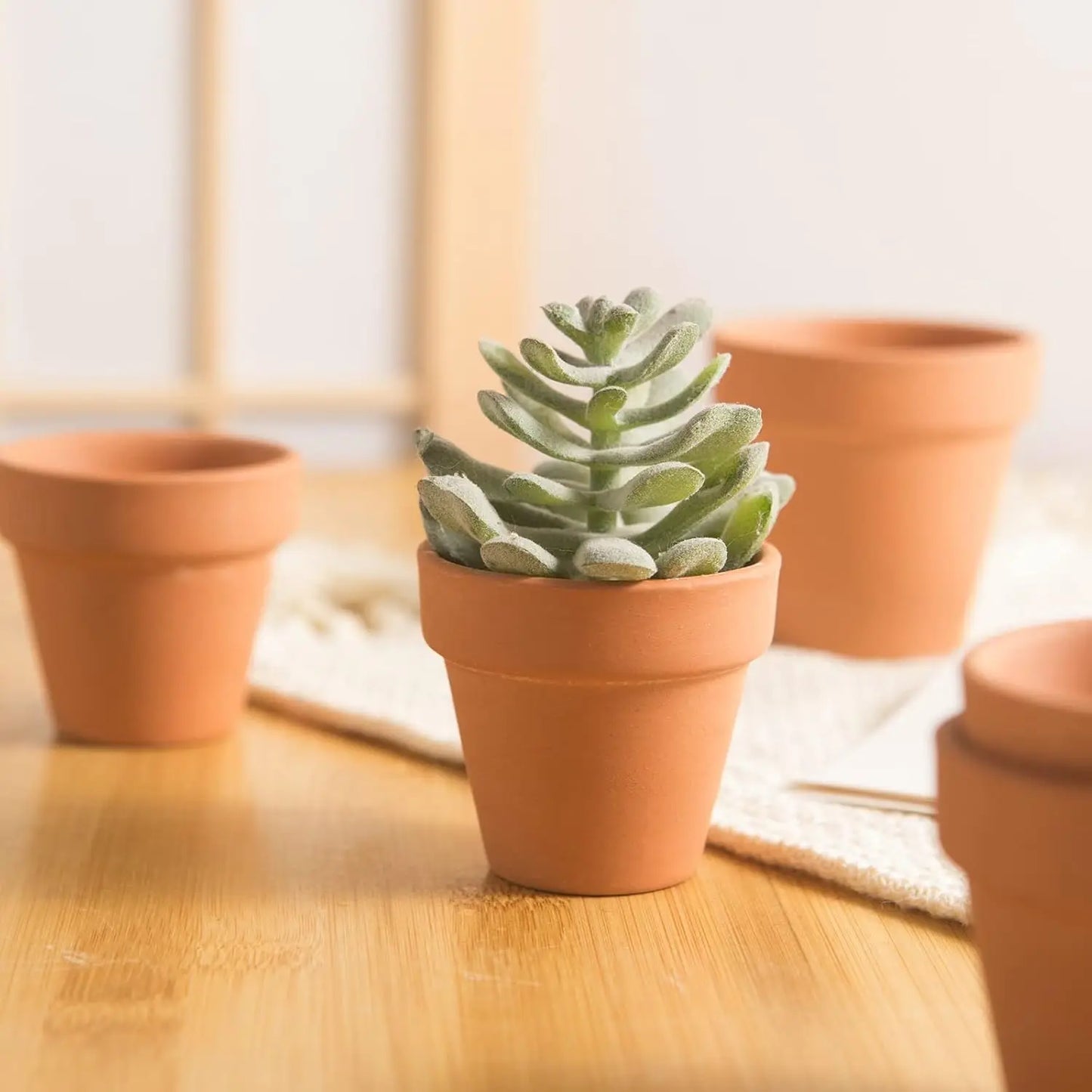36 Mini 2" Clay Flower Pots with Drainage Holes for Succulents, Indoor/Outdoor Use, Wedding Favors