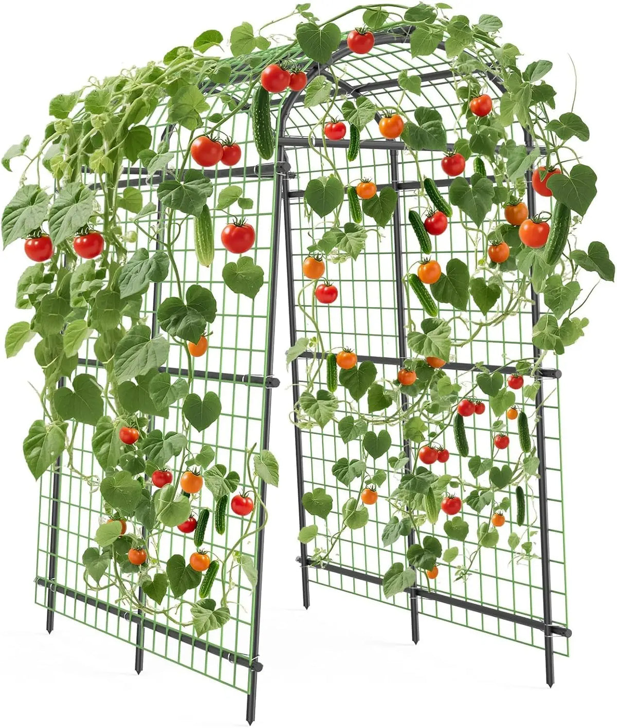 Garden Arch Trellis, 7.5FT Extra Tall Polyethylene-Coated Stainless Steel Garden Trellis for Cucumbers, Melons, Vegetables, Peas, Tomatoes & Climbing Vegetables, Outdoor Rust-Resistant Trellis