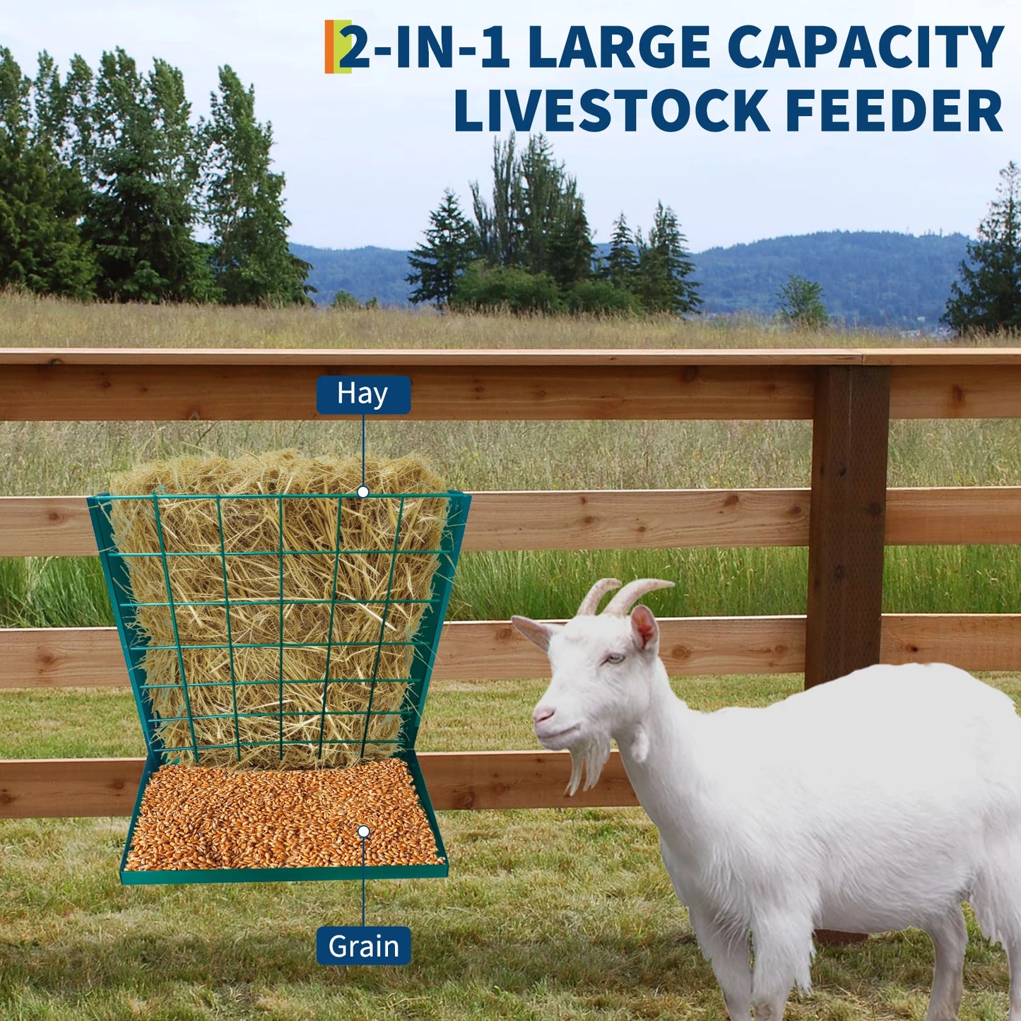 Wall Mounted Metal Hay And Grain Feeder For Livestock