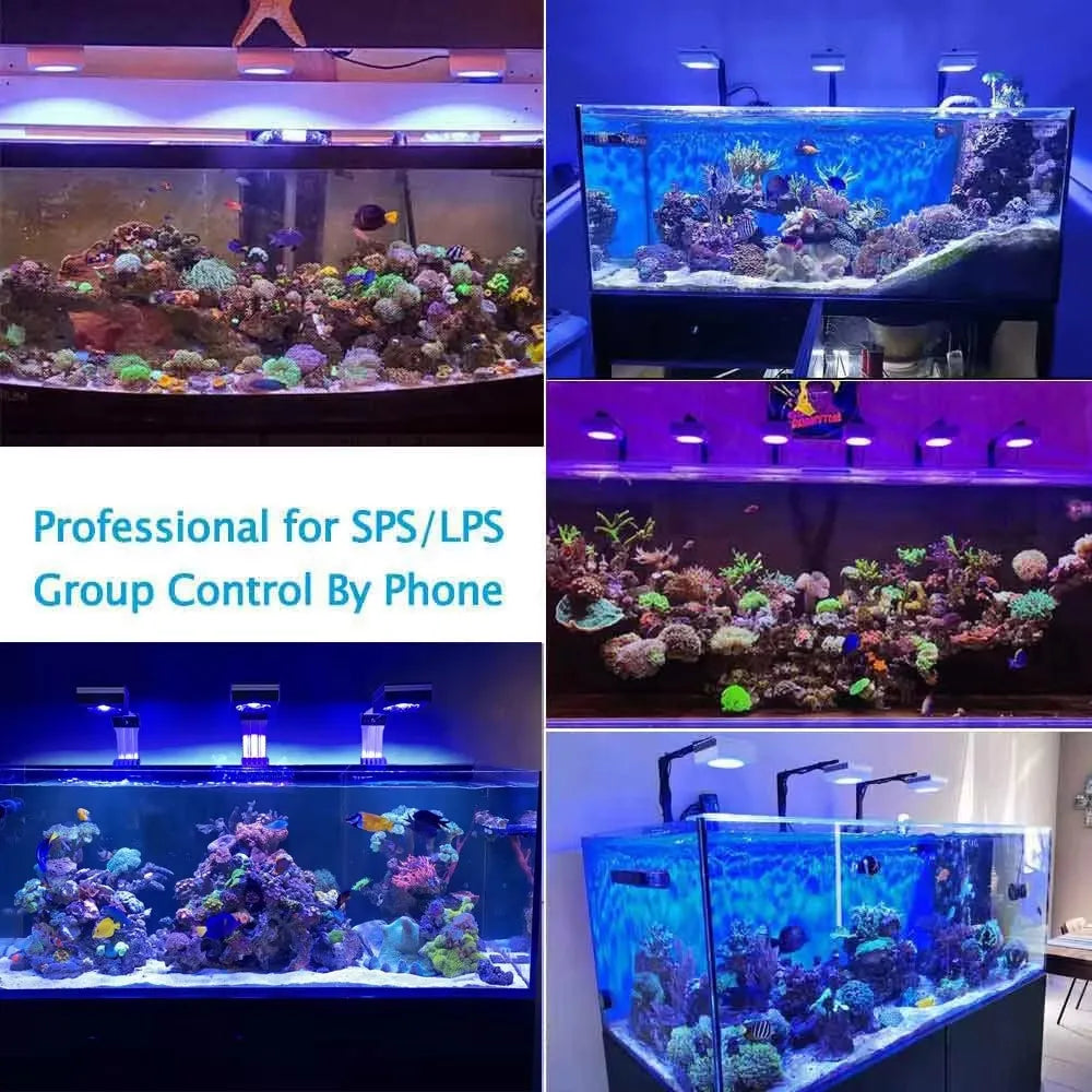 PopBloom 100W WiFi Reef Aquarium LED Light Clip On Marine
