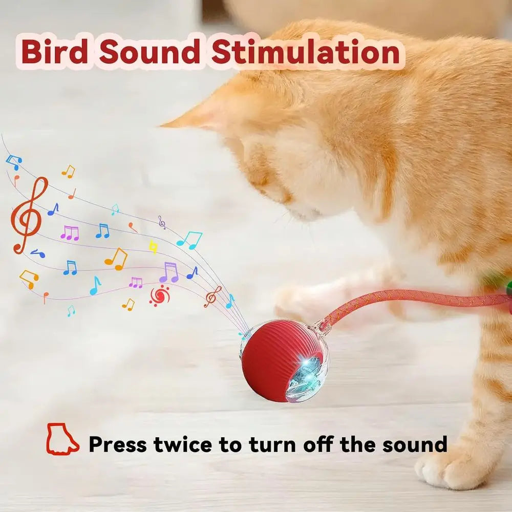 Automatic Interactive Cat Toy With Rolling Electric Ball Mechanism