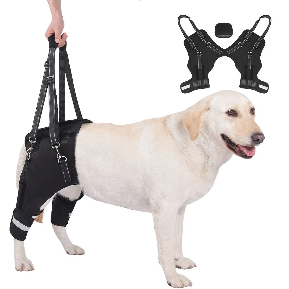 Adjustable Dog Hip Support Leg Brace With Lift Harness