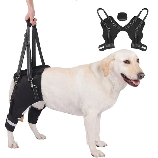 Adjustable Dog Hip Support Leg Brace With Lift Harness