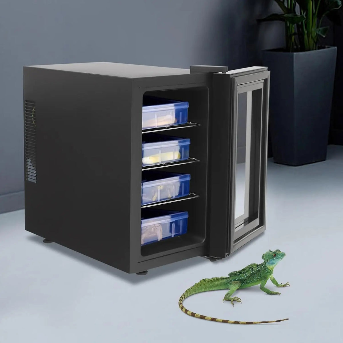 Digital Reptile Egg Incubator With Led Light And Temperature Control