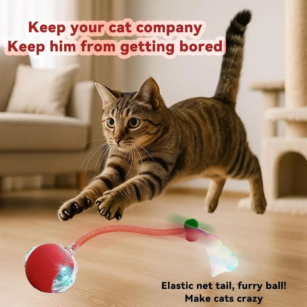 Automatic Interactive Cat Toy With Rolling Electric Ball Mechanism