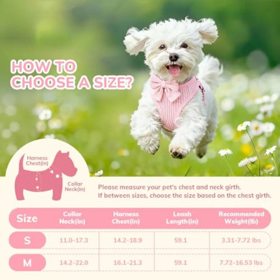 Adjustable Cotton Dog Harness And Leash Set For Daily Walks