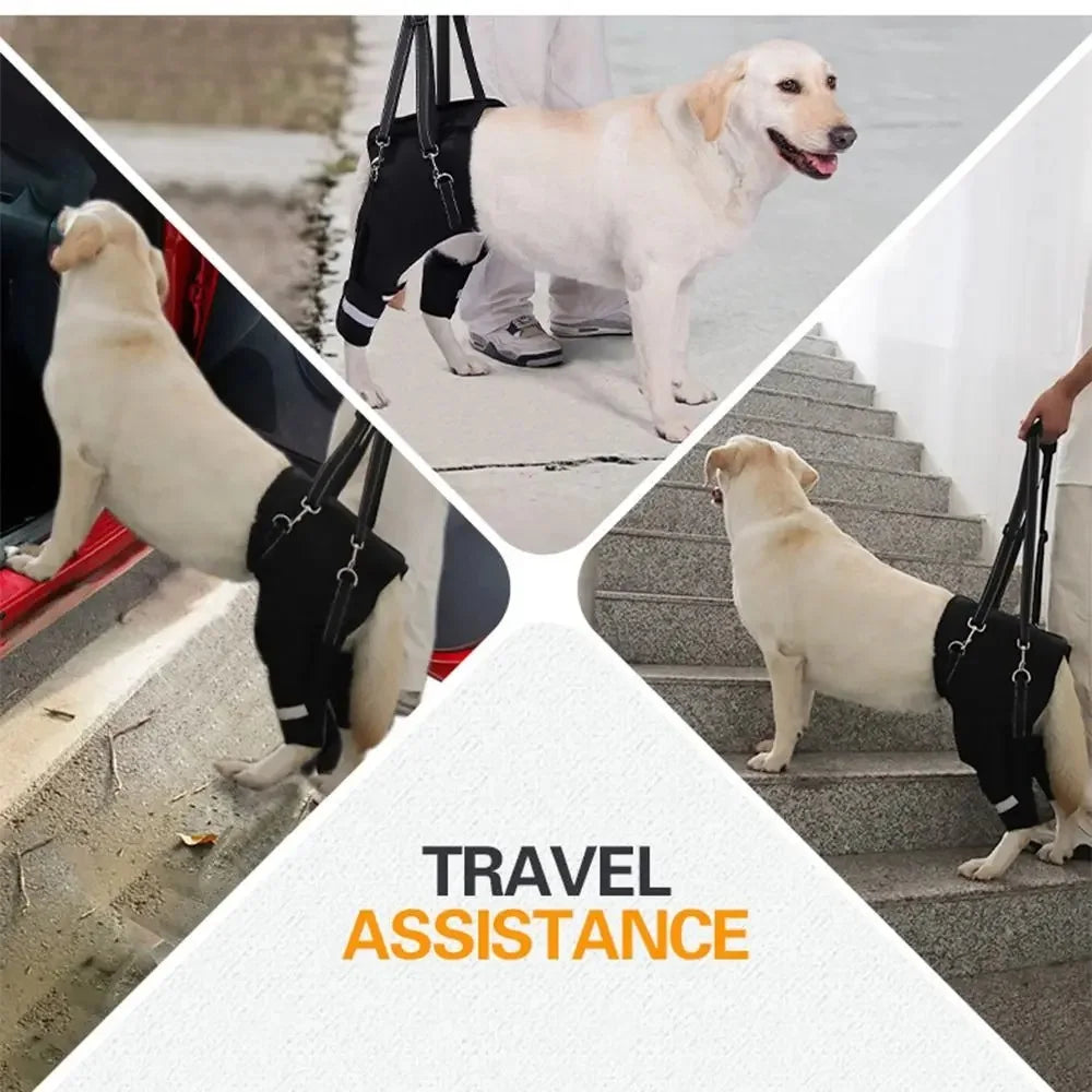 Adjustable Dog Hip Support Leg Brace With Lift Harness