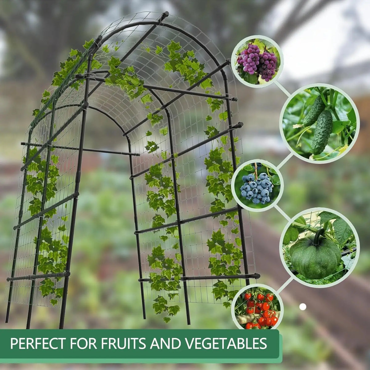 Garden Arch Trellis, 7.5FT Extra Tall Polyethylene-Coated Stainless Steel Garden Trellis for Cucumbers, Melons, Vegetables, Peas, Tomatoes & Climbing Vegetables, Outdoor Rust-Resistant Trellis