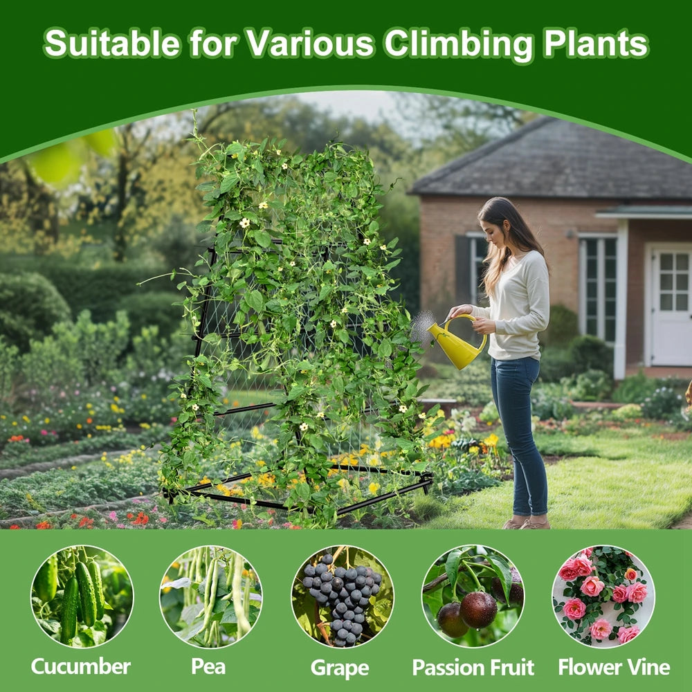 Wisfor Metal A Shaped Garden Trellis Arch Plant Support