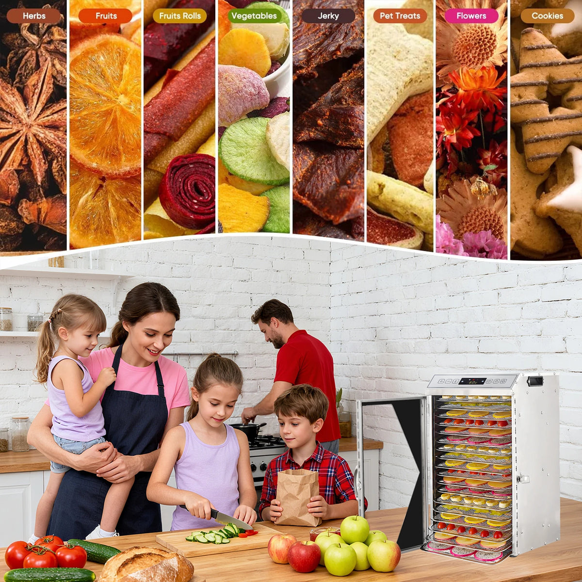 Stainless Steel Electric Food Dehydrator With Adjustable Thermostat