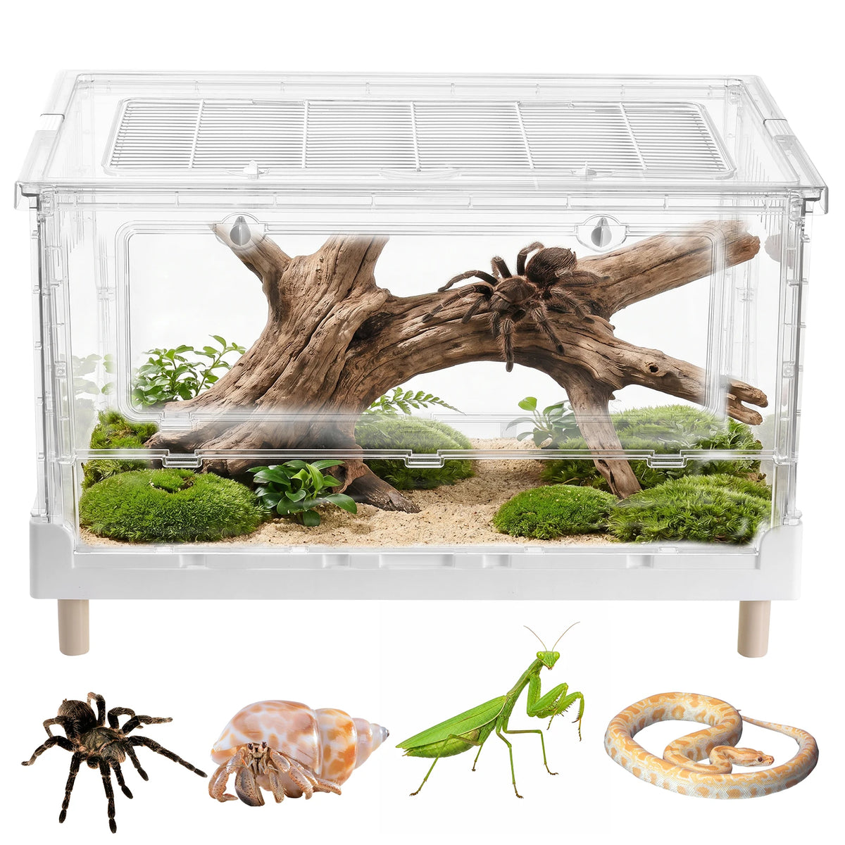 Clear Acrylic Foldable Reptile Terrarium With Front Opening Door