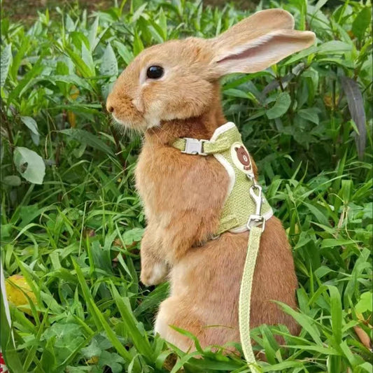 Rabbit Harness And Leash Set For Outdoor Walking Pets