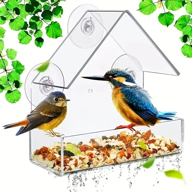 Transparent Acrylic Window Bird Feeder With Suction Cups