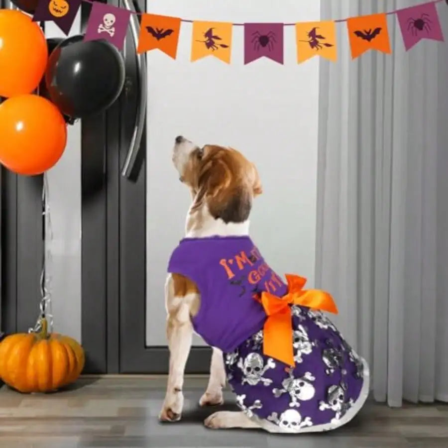 Dog Halloween Costume Dress With Bow Pumpkin Witch Bat Outfit