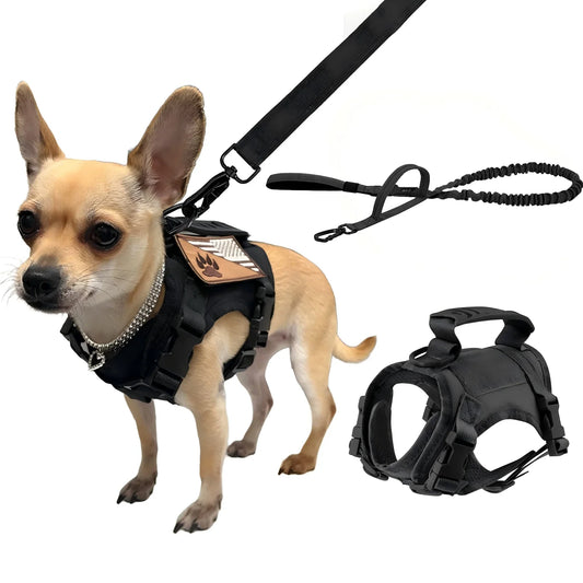 PETRAVEL Tactical Puppy Harness And Leash Set For Dog Training