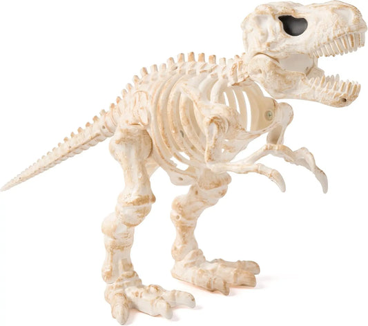 Joyfy Realistic Posable Dinosaur Skeleton Halloween Decoration