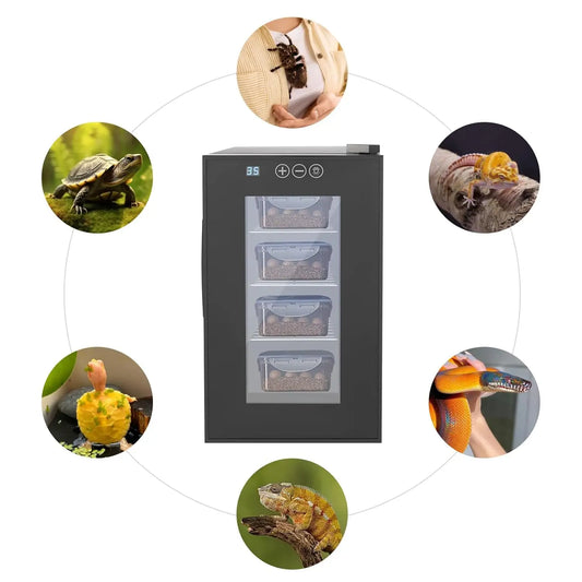 Digital Reptile Egg Incubator With Led Light And Temperature Control
