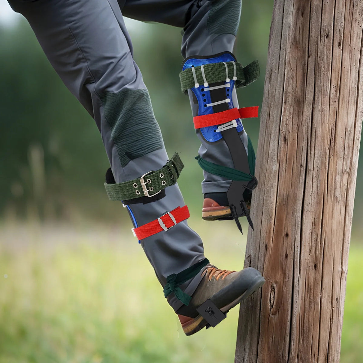 Steel Tree Climbing Spikes With Safety Belt And Ankle Straps