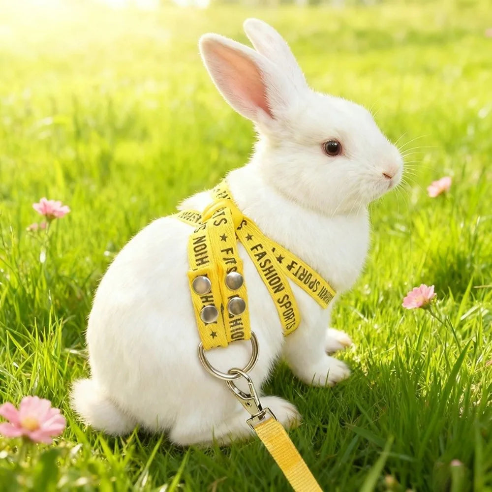 Adjustable Escape Proof Pet Harness And Leash For Small Pets