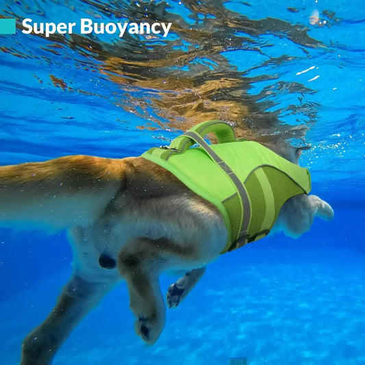 BXX Durable Mesh Dog Life Jacket With Ergonomic Rescue Handle