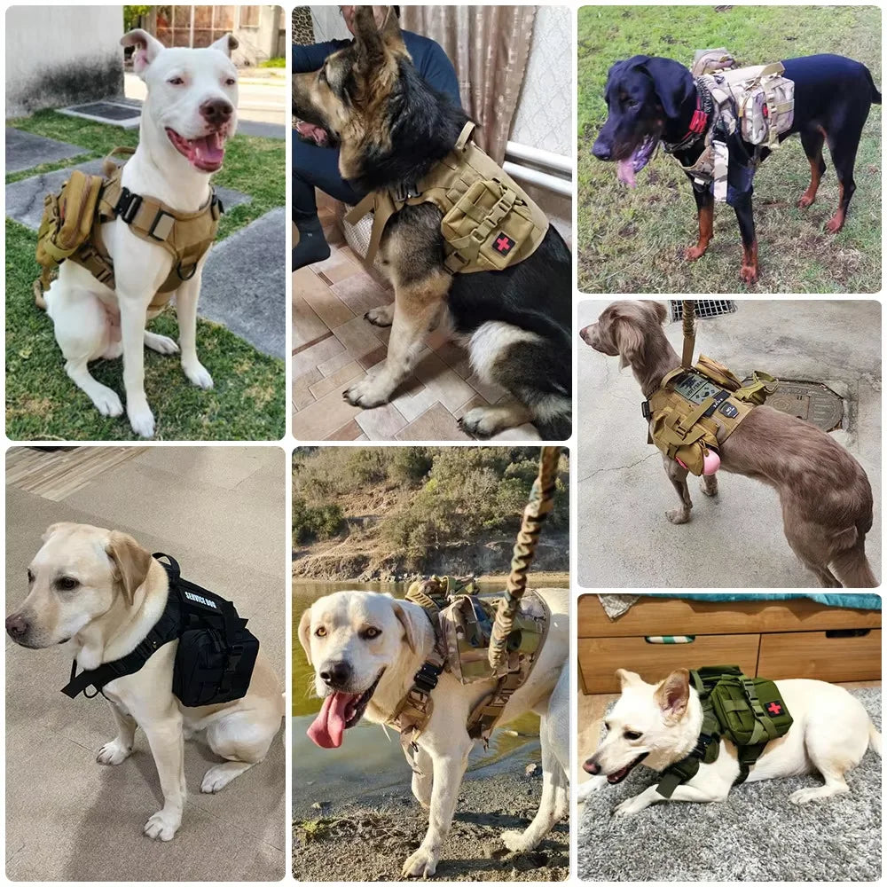 Petavel Tactical Dog Molle Bag Set Harness And Training Accessories