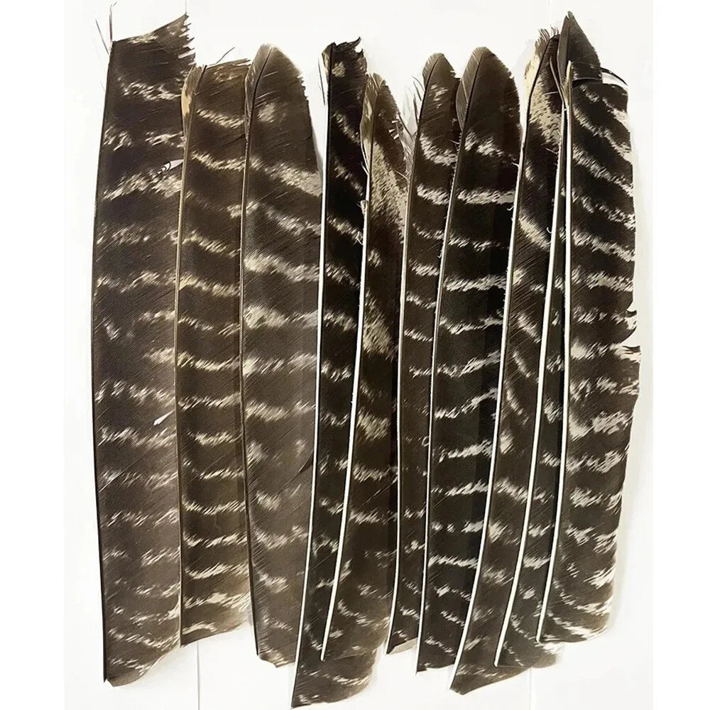 Turkey Feather Arrow Fletches 50Pcs Natural Real Turkey Vanes Left & Right Wing Pure Natural Feather Fletching DIY Replacement Parts for Carbon Aluminum Arrows Outdoor Archery Hunting Target Shooting Accessories
