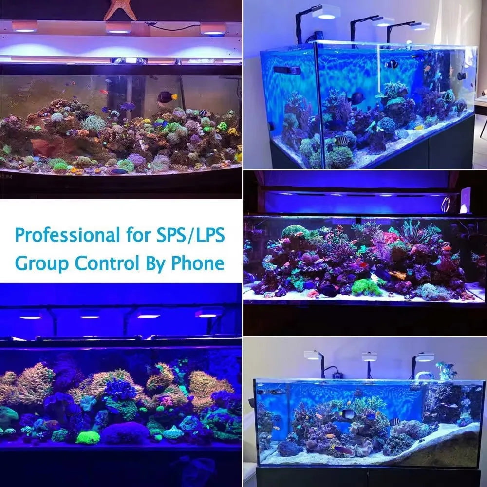 PopBloom RL90 WiFi LED Aquarium Light Full Spectrum Reef Lamp
