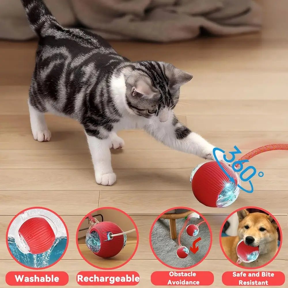 Automatic Interactive Cat Toy With Rolling Electric Ball Mechanism
