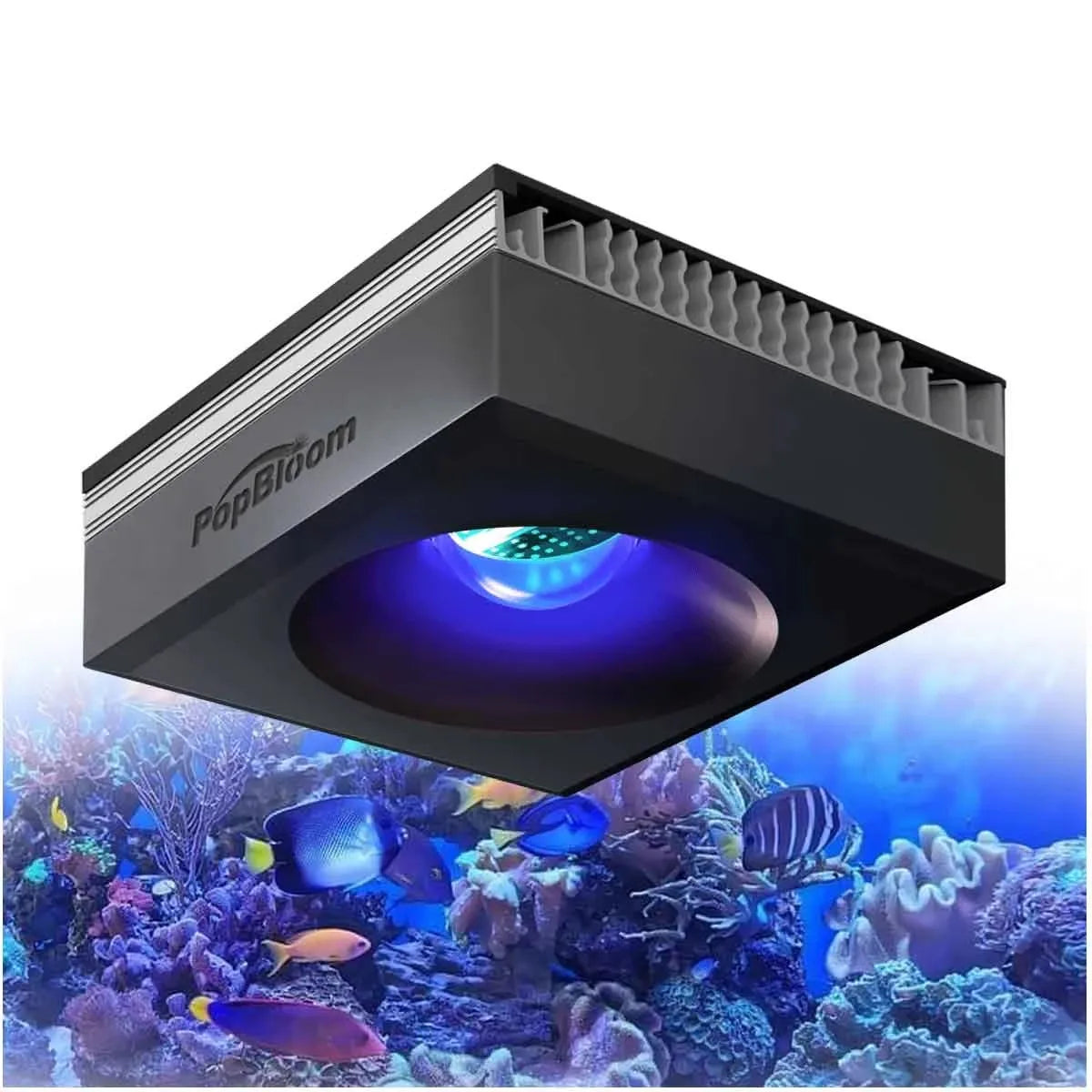 PopBloom 100W WiFi Reef Aquarium LED Light Clip On Marine