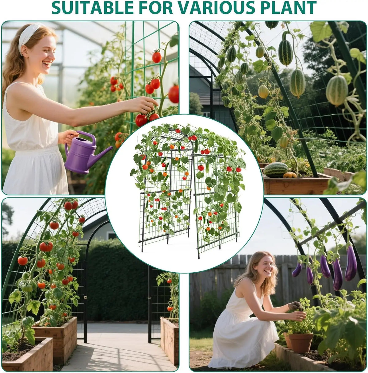 Garden Arch Trellis, 7.5FT Extra Tall Polyethylene-Coated Stainless Steel Garden Trellis for Cucumbers, Melons, Vegetables, Peas, Tomatoes & Climbing Vegetables, Outdoor Rust-Resistant Trellis