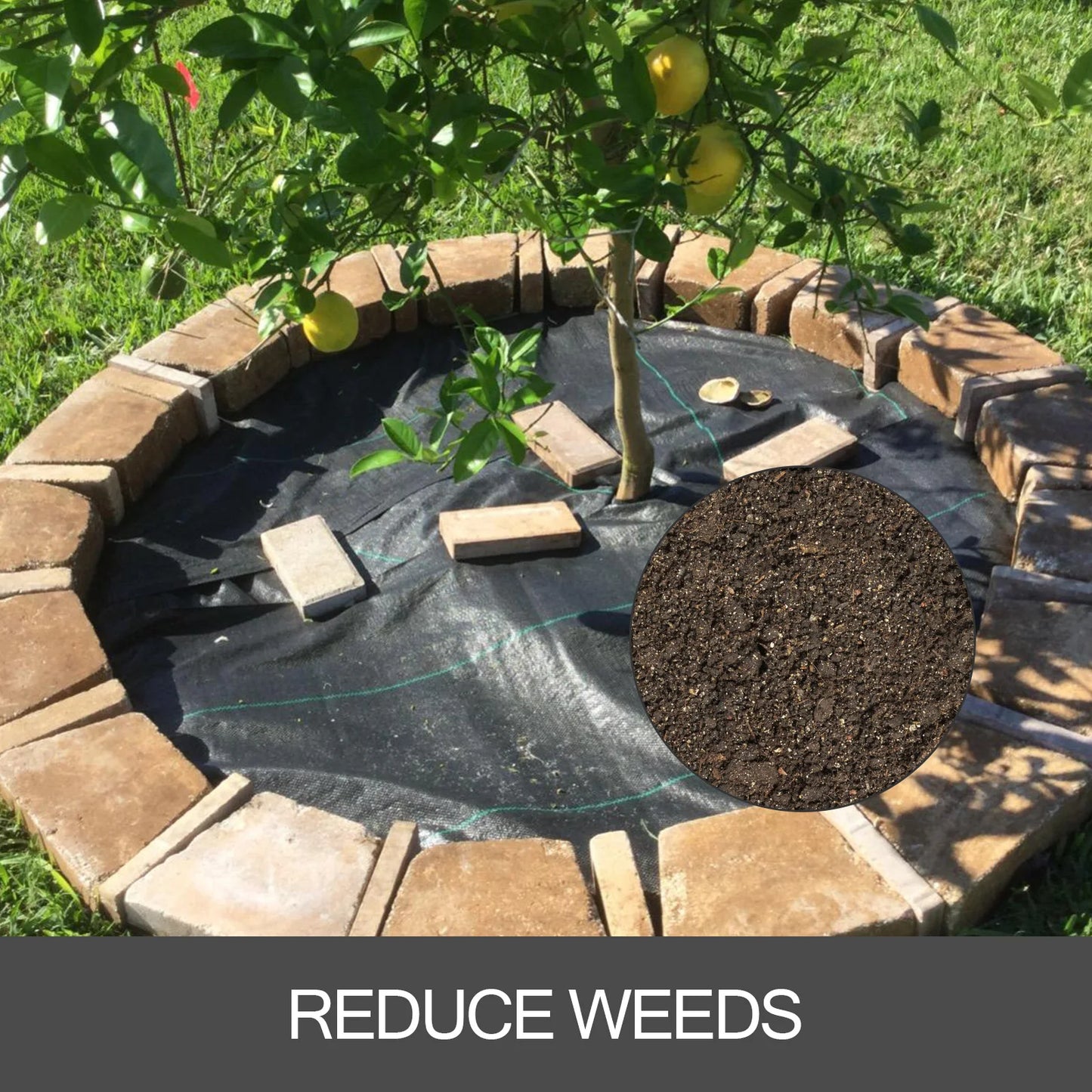 SucceBuy Heavy Duty Landscaping Fabric Weed Barrier Ground Cover