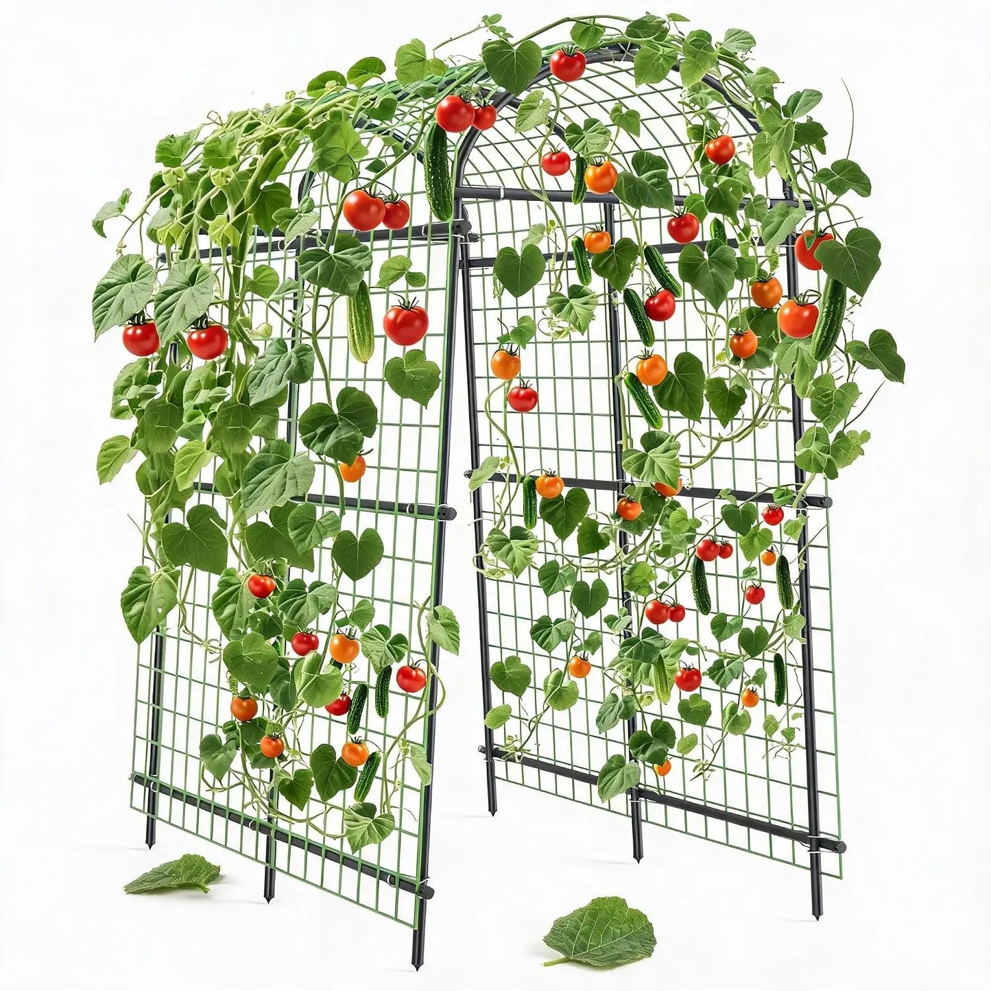 Tacleekii 7.5FT Tall Metal Garden Arch Trellis U-Shape for Raised Beds Plant Support Rust Resistant Coating, Tool Free Plug In, Lifts Fruit Off Ground, For Cucumber Grapes Roses Cucumber, Backyard Archway